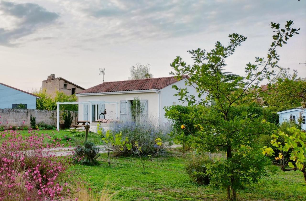 Gite Le Cherche Midi Gaillac Eksteriør bilde